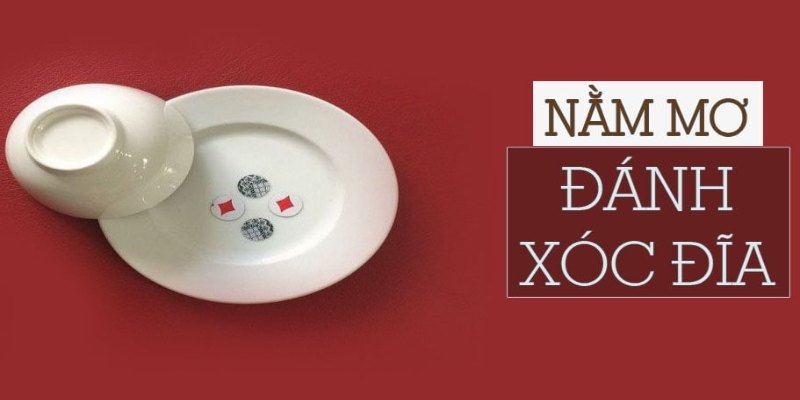 Mơ xóc đĩa đánh con gì