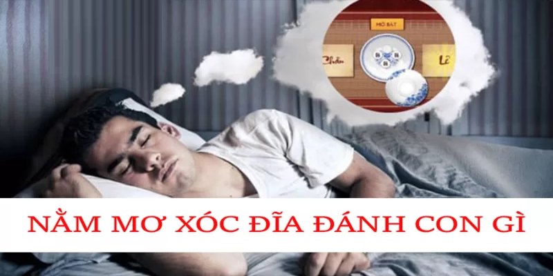 Mơ xóc đĩa đánh con gì